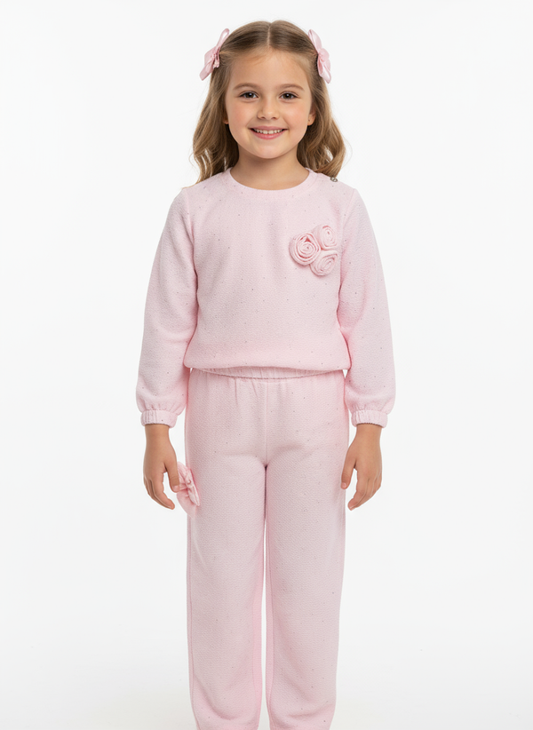 Baby Girl Floral Printed Sweatshirt Sweatpants 2 Piece Set